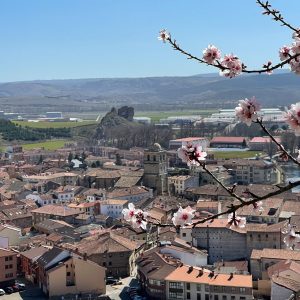 Aguilar de campoo(6)